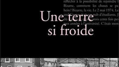 Adrian McKinty - Une terre si froide
