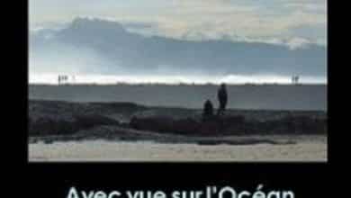 Jean-pierre Alaux - Avec vue sur l'Océan