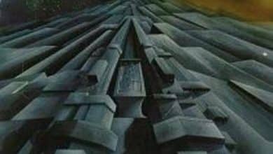 Bertrand Passegue - Le monolithe noir