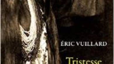 Eric Vuillard - Tristesse de la terre