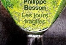 Philippe Besson - Les jours fragiles