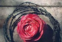 Elizabeth Wein - Rose sous les bombes