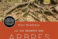 Peter Wohlleben - La Vie secrète des arbres