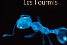 Bernard Werber - Les Fourmis