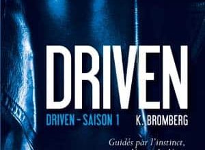 K Bromberg - Driven, Tome 1