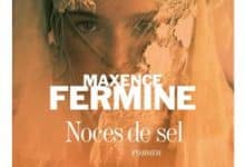 Maxence Fermine - Noces de sel